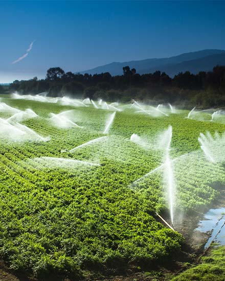 agricultural farm water usage